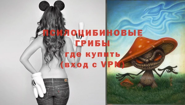 ALPHA-PVP Приозерск