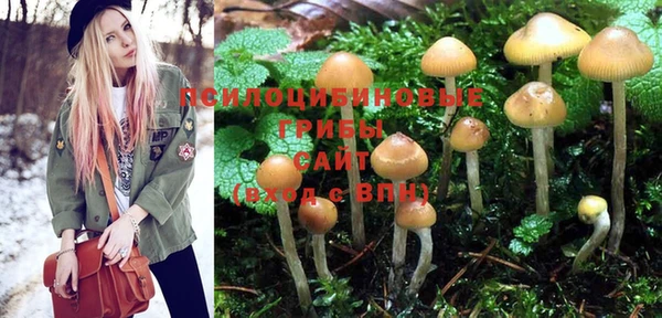 не бодяженный Протвино